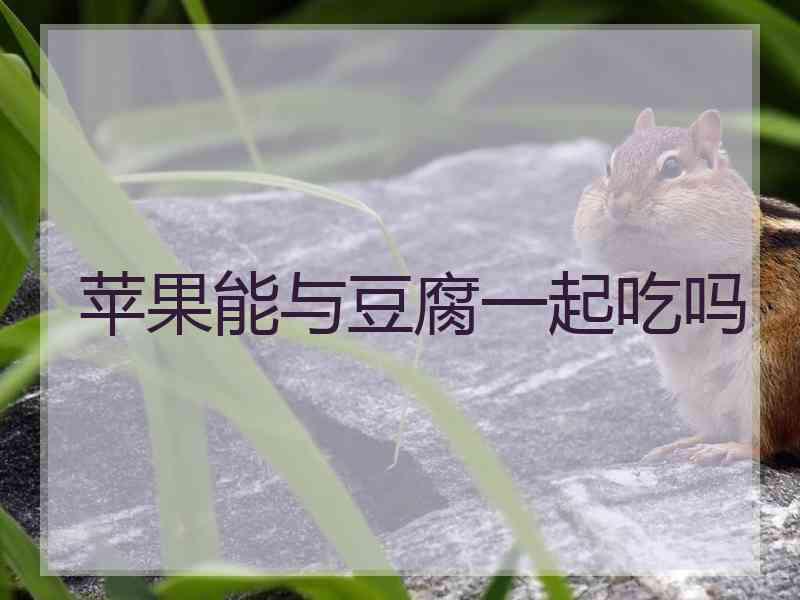 苹果能与豆腐一起吃吗