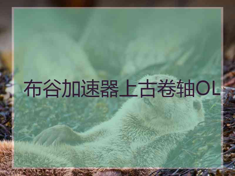 布谷加速器上古卷轴OL