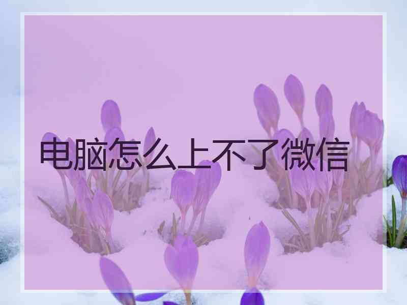 电脑怎么上不了微信