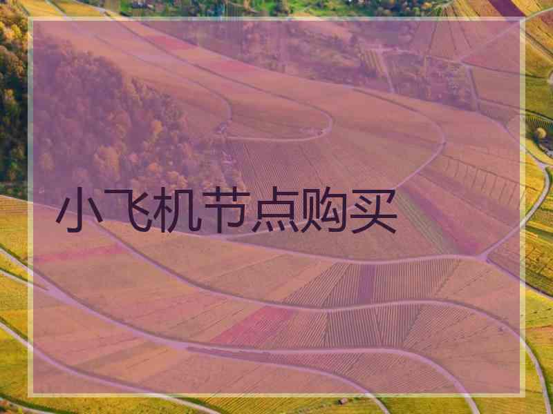 小飞机节点购买
