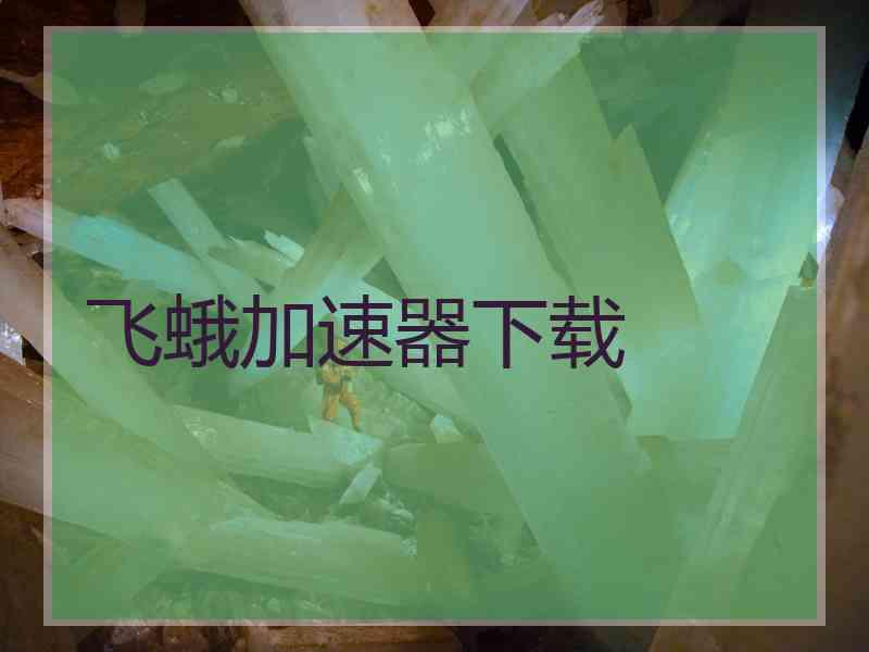 飞蛾加速器下载
