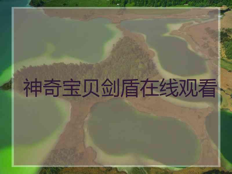 神奇宝贝剑盾在线观看