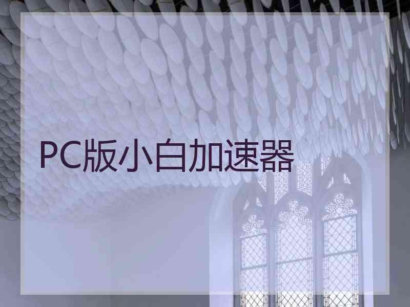 PC版小白加速器