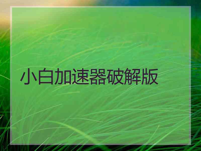 小白加速器破解版