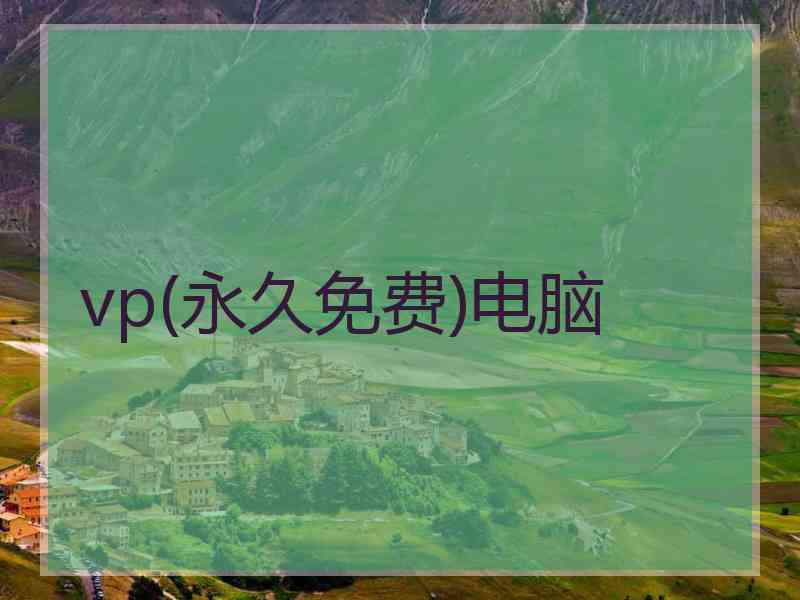 vp(永久免费)电脑