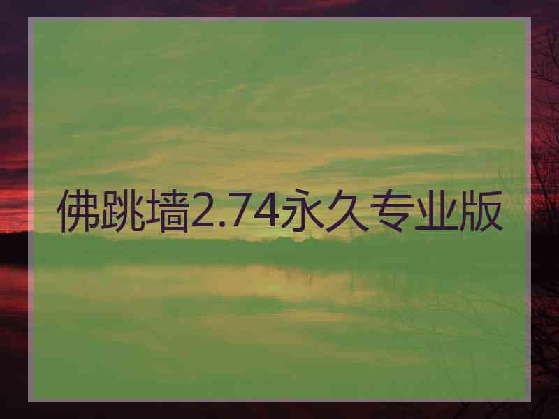佛跳墙2.74永久专业版