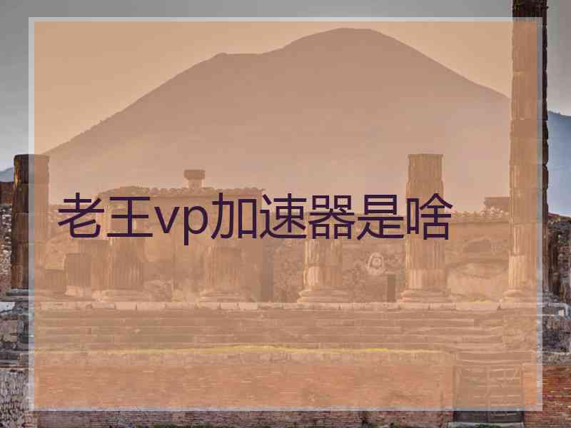老王vp加速器是啥