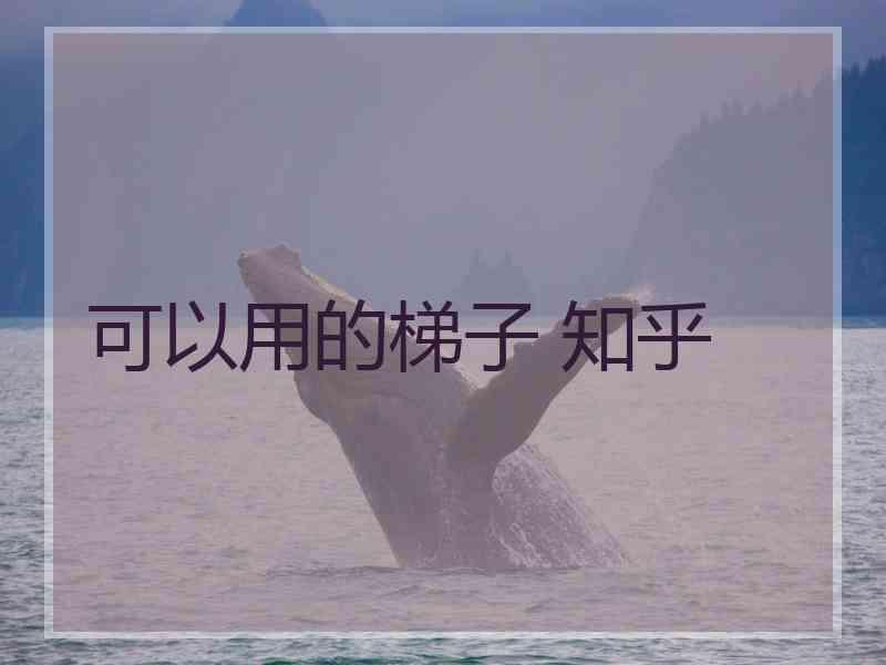 可以用的梯子 知乎