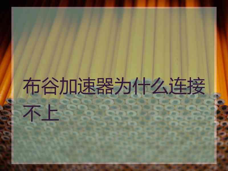 布谷加速器为什么连接不上