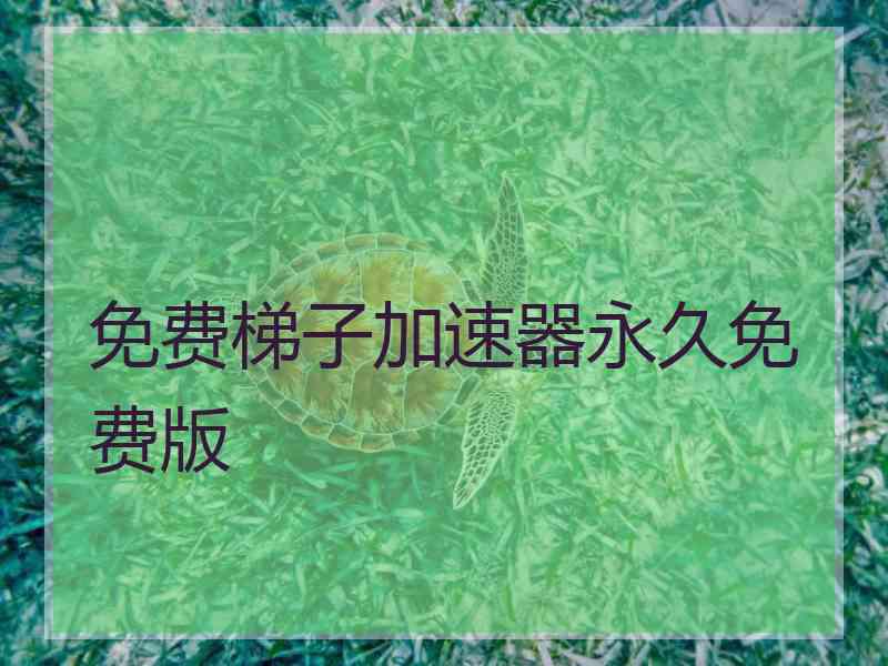 免费梯子加速器永久免费版