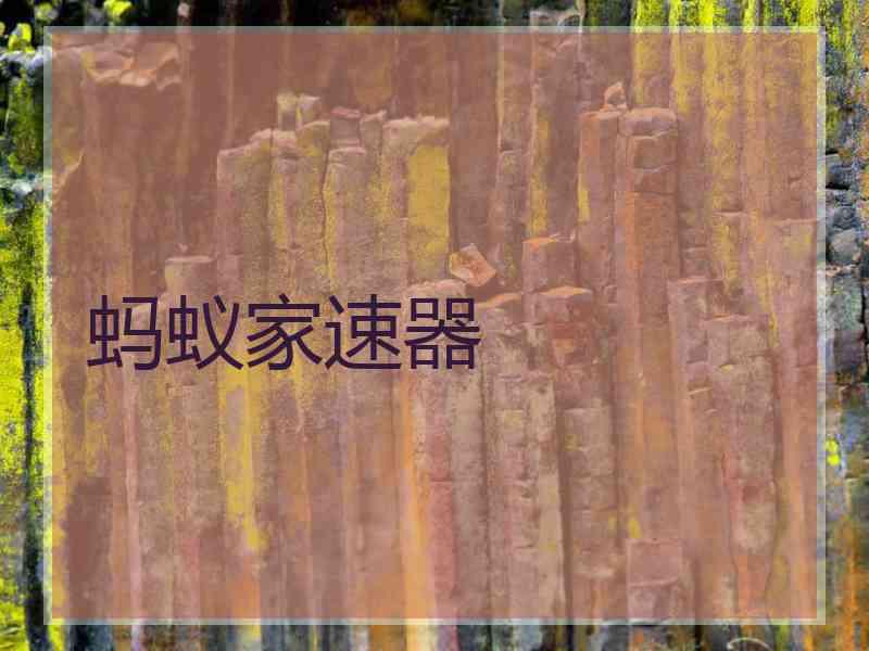 蚂蚁家速器