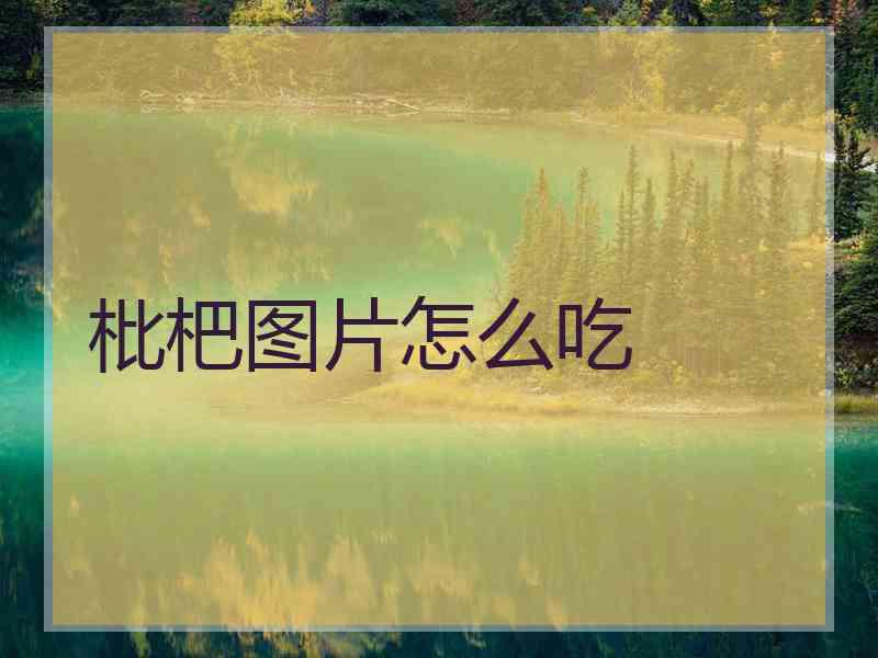 枇杷图片怎么吃