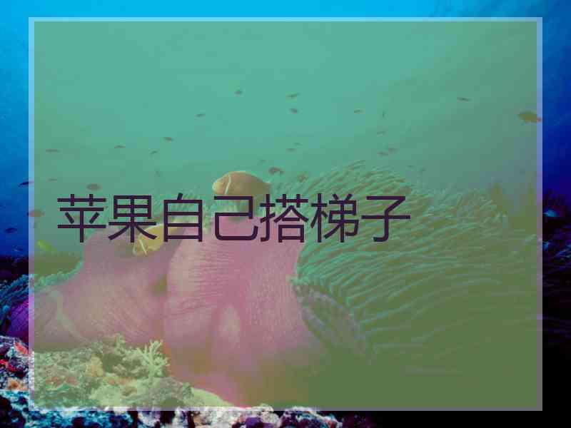 苹果自己搭梯子
