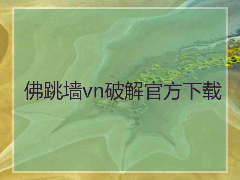 佛跳墙vn破解官方下载