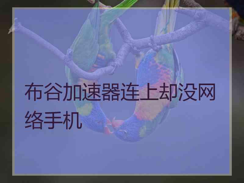 布谷加速器连上却没网络手机