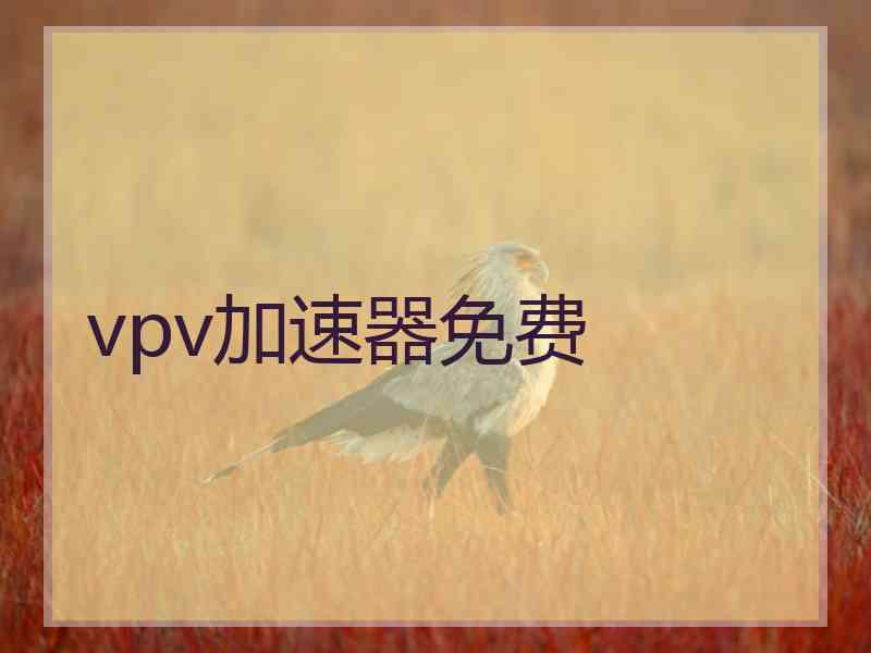 vpv加速器免费