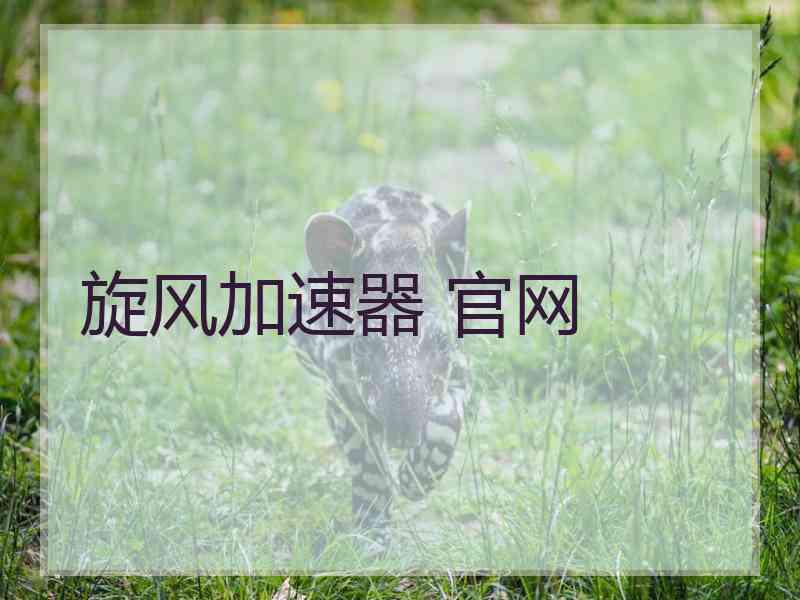 旋风加速器 官网