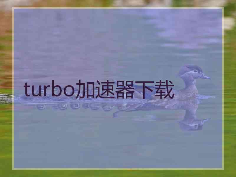 turbo加速器下载