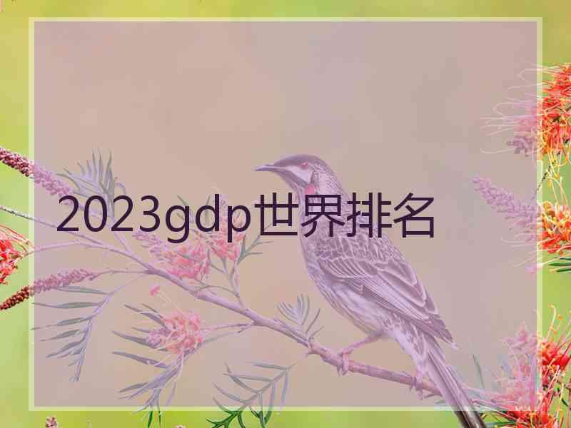 2023gdp世界排名