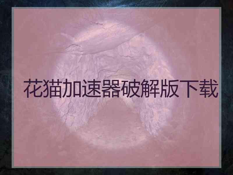 花猫加速器破解版下载