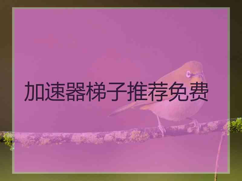加速器梯子推荐免费