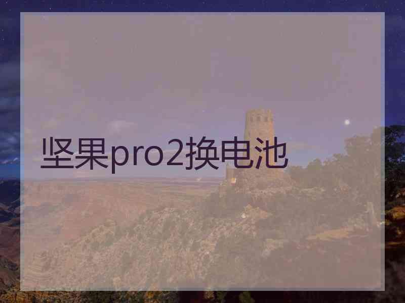 坚果pro2换电池