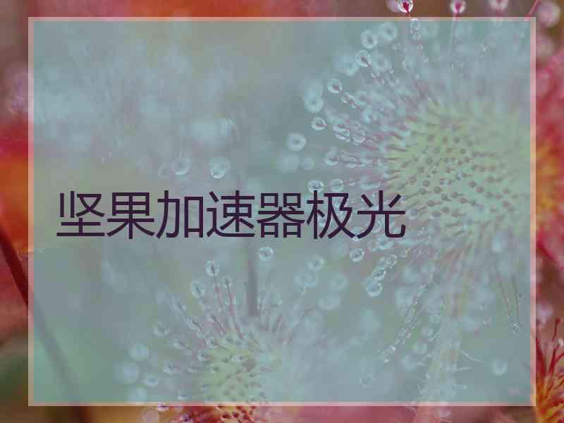 坚果加速器极光