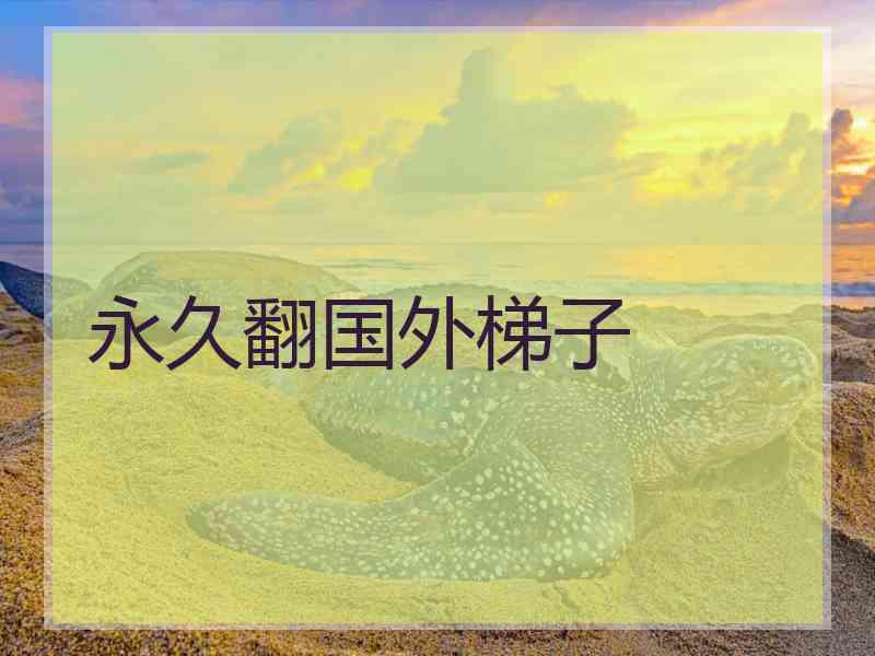 永久翻国外梯子