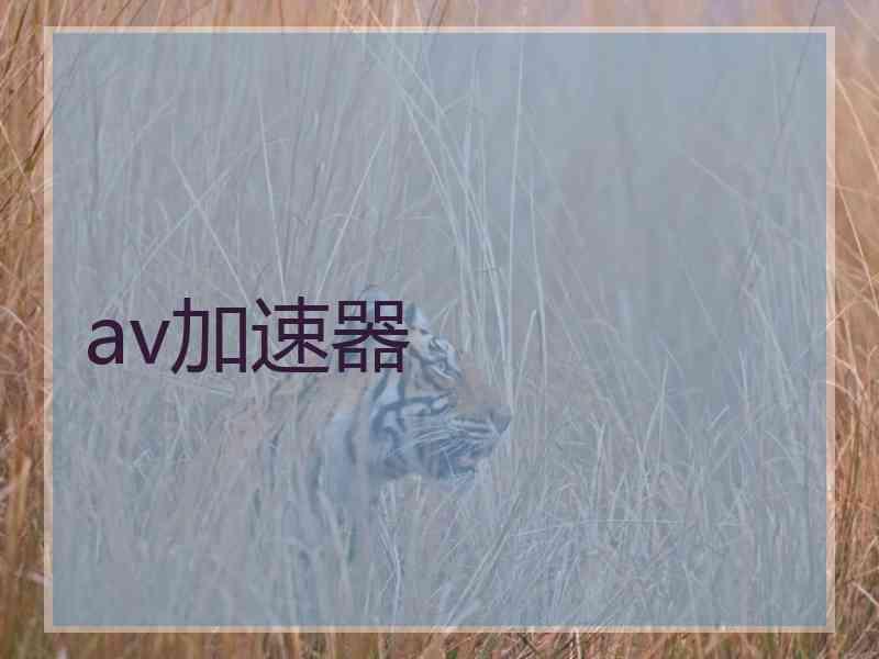 av加速器
