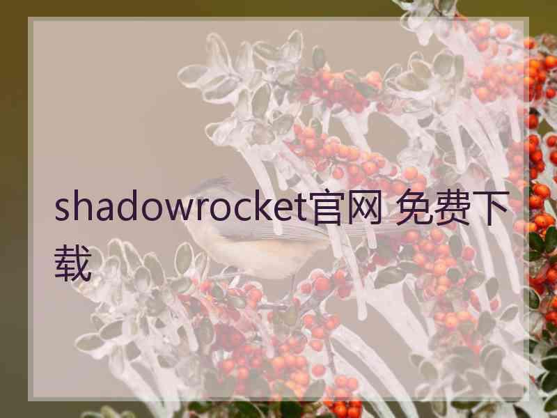 shadowrocket官网 免费下载