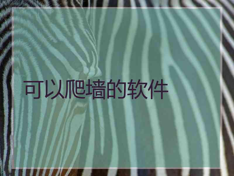 可以爬墙的软件