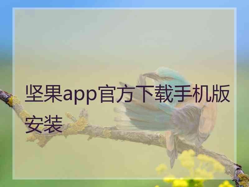 坚果app官方下载手机版安装