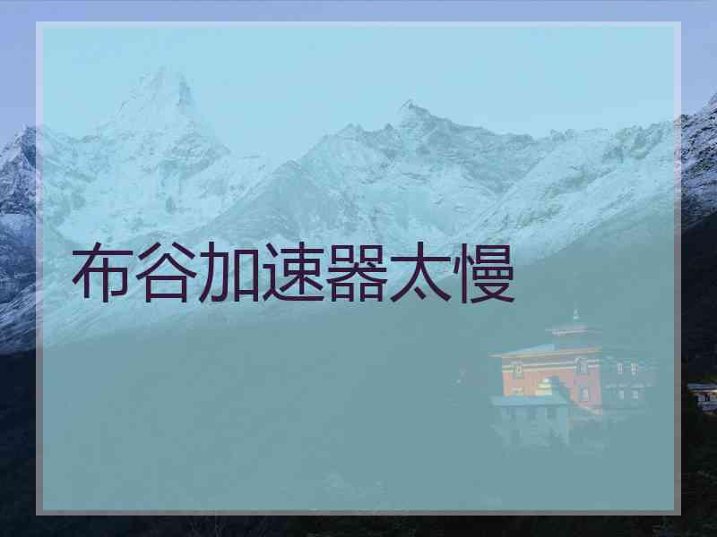 布谷加速器太慢