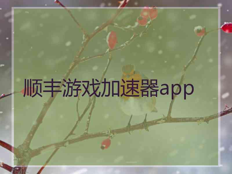 顺丰游戏加速器app