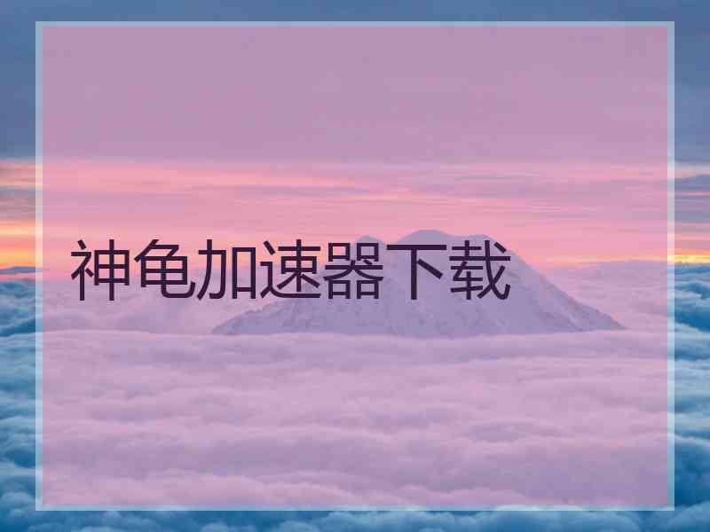 神龟加速器下载