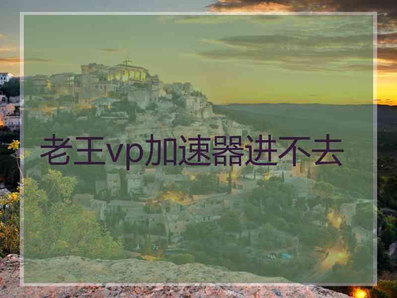 老王vp加速器进不去
