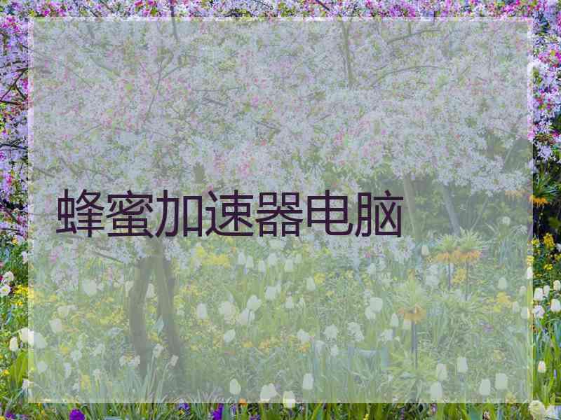 蜂蜜加速器电脑