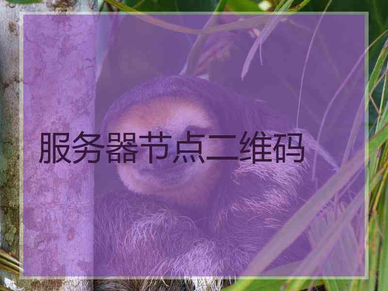 服务器节点二维码