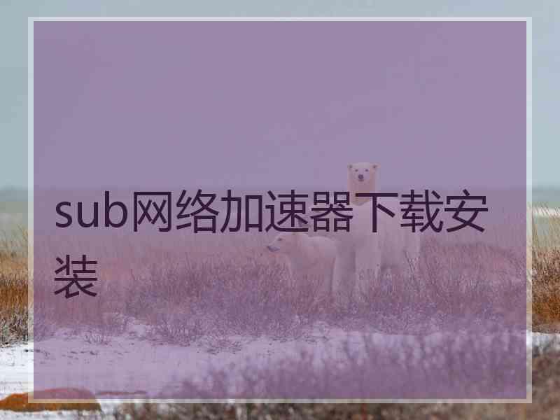 sub网络加速器下载安装