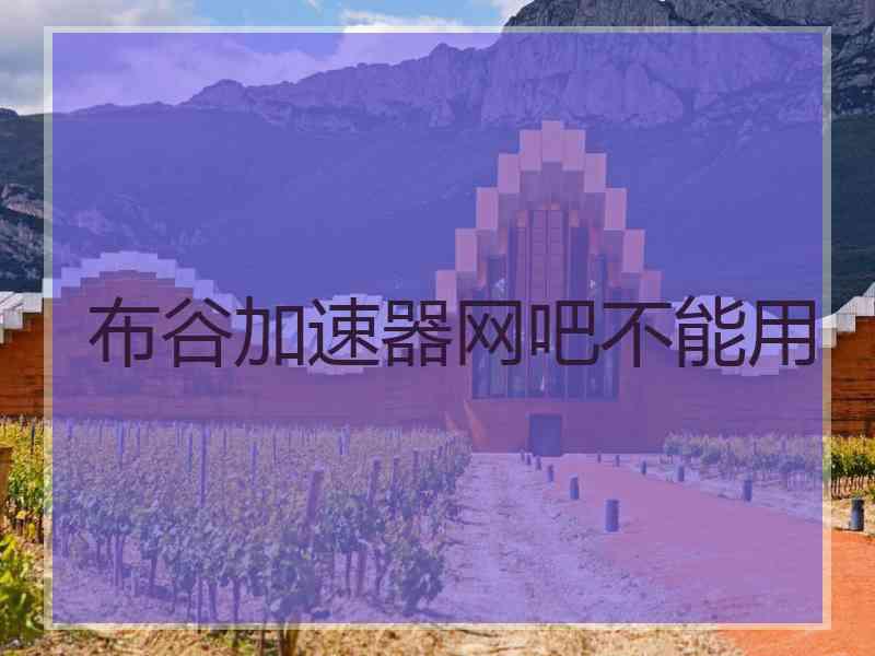 布谷加速器网吧不能用