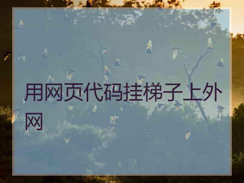 用网页代码挂梯子上外网