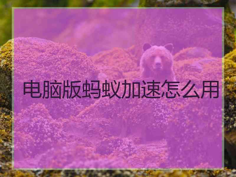 电脑版蚂蚁加速怎么用