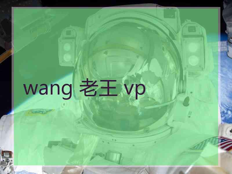 wang 老王 vp