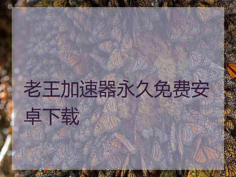 老王加速器永久免费安卓下载