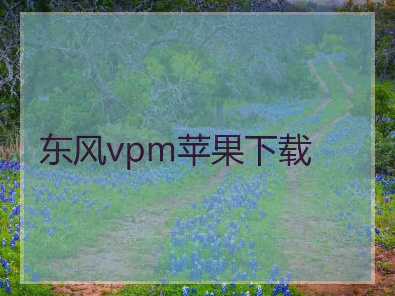 东风vpm苹果下载