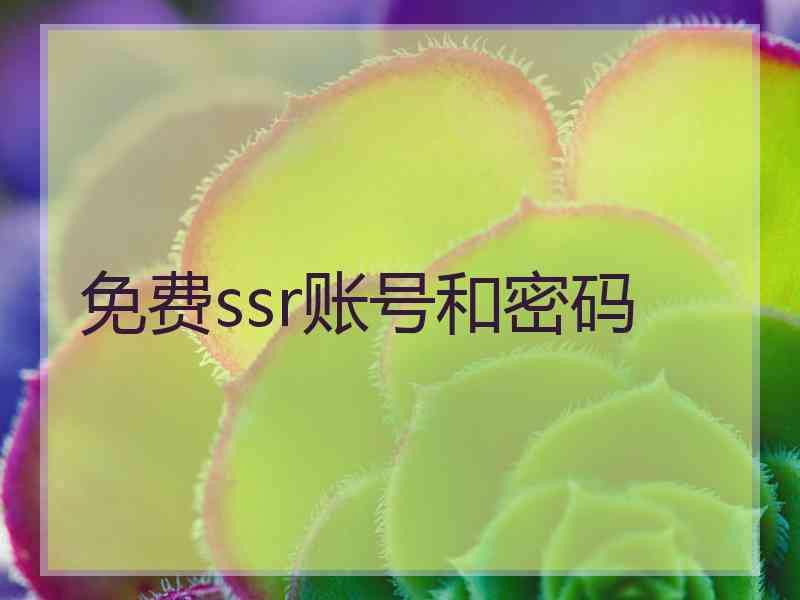 免费ssr账号和密码