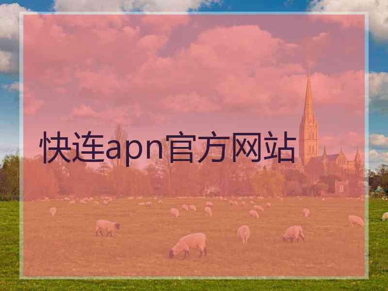 快连apn官方网站