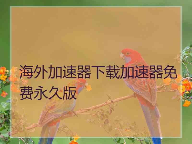 海外加速器下载加速器免费永久版