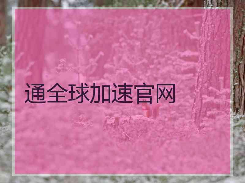 通全球加速官网