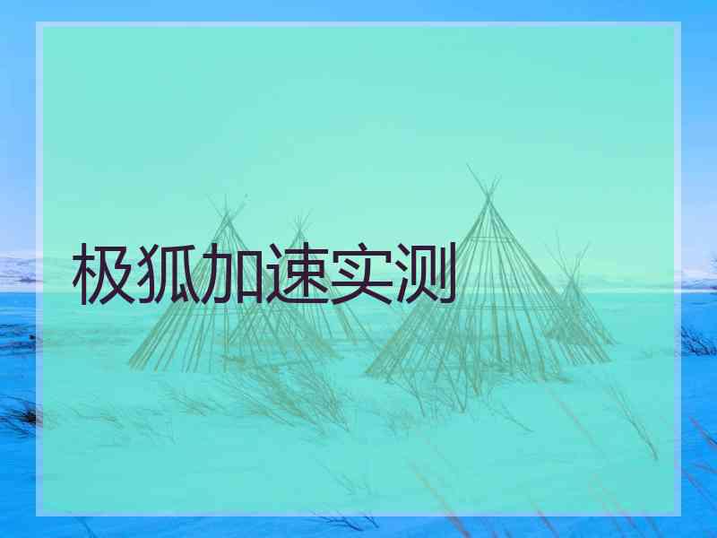 极狐加速实测